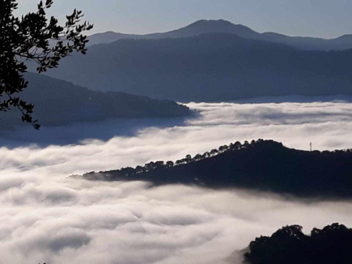 Апартаменты Casa El Chaparral Songbird Mountain Бенадалид Экстерьер фото